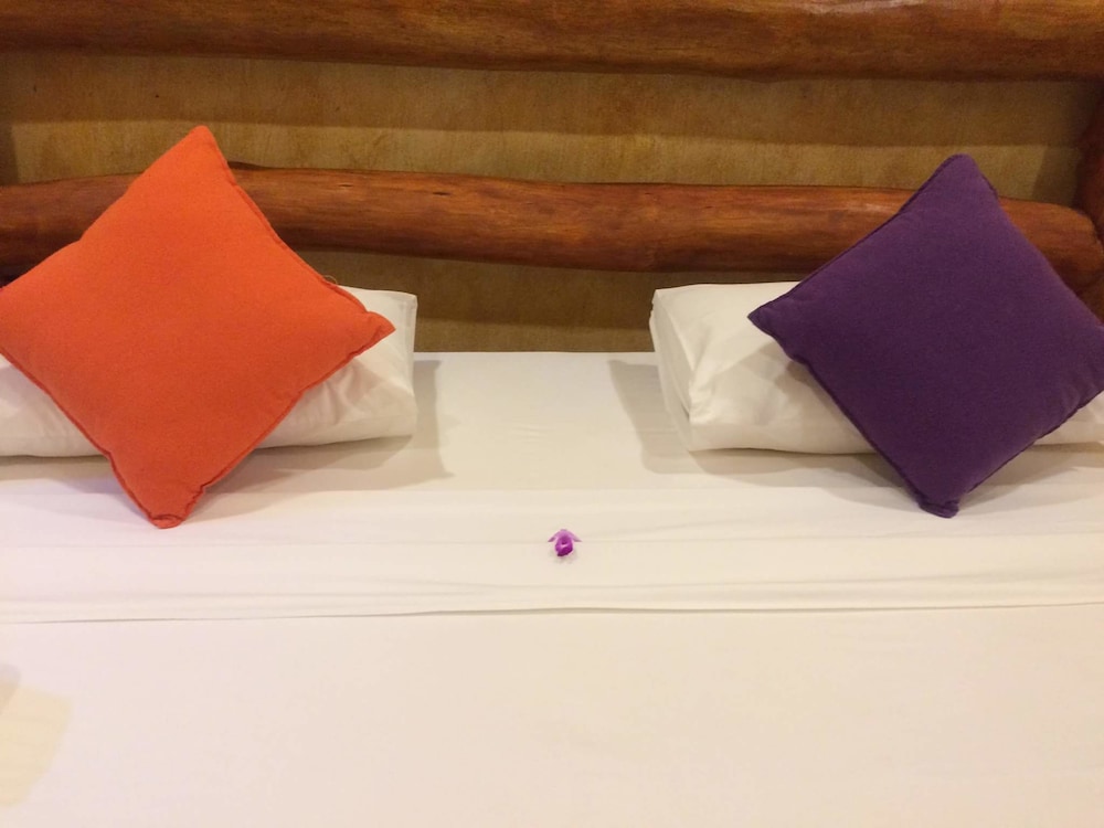 Rainforest Edge in Ratnapura, Sri Lanka