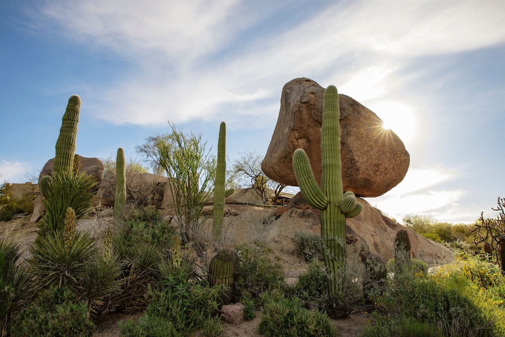 Boulders Resort & Spa Scottsdale Curio Collection by Hilton - photo 153