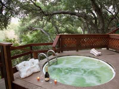 Sycamore Mineral Springs Resort - photo 17