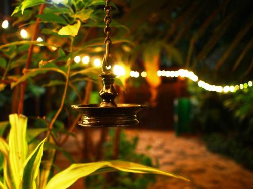 Secret Garden Resort — Canacona — photo 3