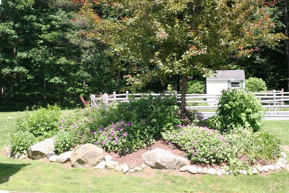The Arbor Inn - photo 6