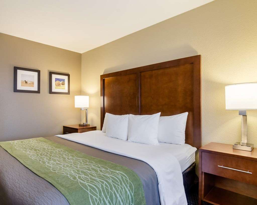 Comfort Inn Garden City - photo 15