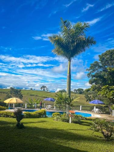 Finca Hotel Palmas Frente A Panaca — Quimbaya
