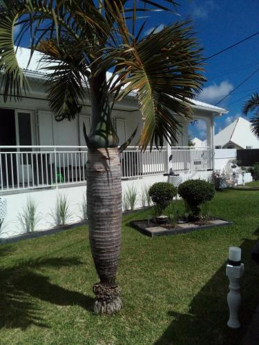 Le PalaSud in Saint-Joseph, Réunion