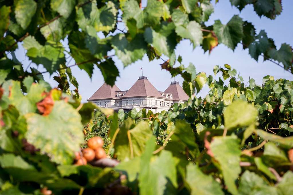 Chateau Elan - photo 56