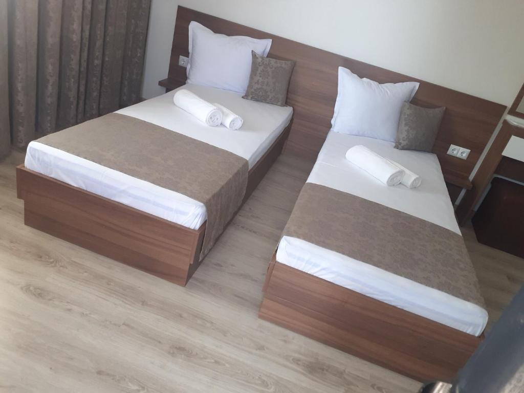 Weißer Schwan Белият лебед in Dolni Chiflik, Bulgaria