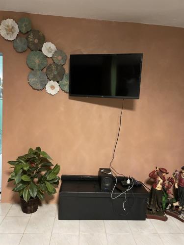 Jade Coast Getaway Near Montego Bay in Montego Bay, Jamaica