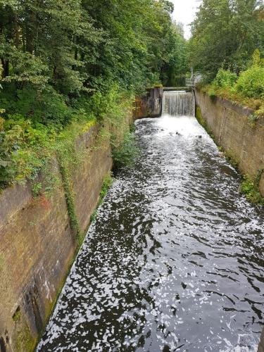 Hotel & Restaurant Wilder Eber in Eberswalde, Germany
