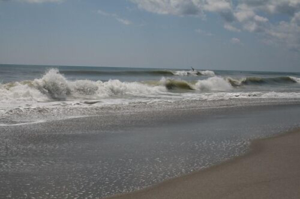 Surf Studio Beach Resort - photo 55