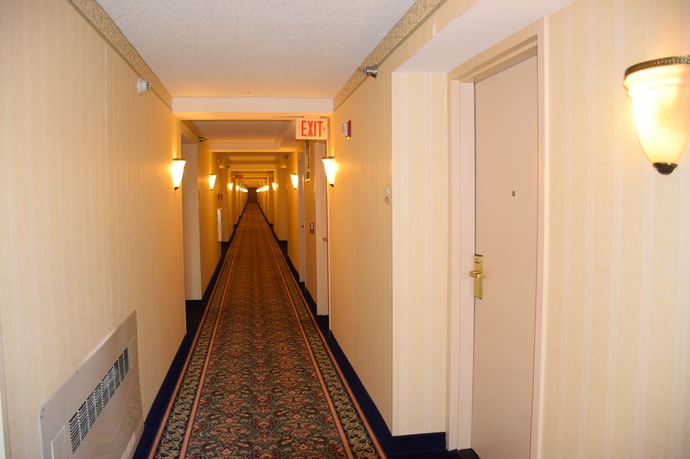 Wyndham Garden Trenton - photo 33
