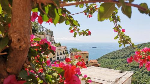 Bouganville Home — 4-Star Luxury Hotel in Vietri Sul Mare, Italy
