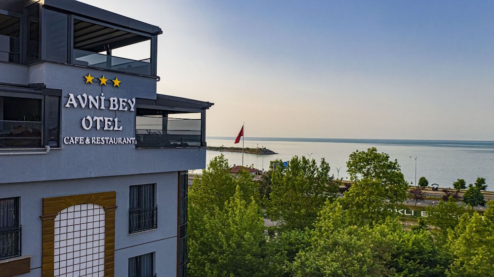 Avni Bey Otel — hotel in Arakli