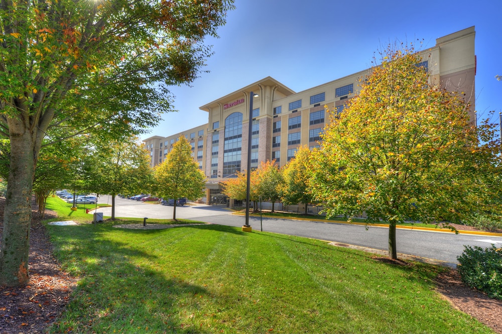 Sheraton Baltimore Washington Airport Hotel BWI - photo 53