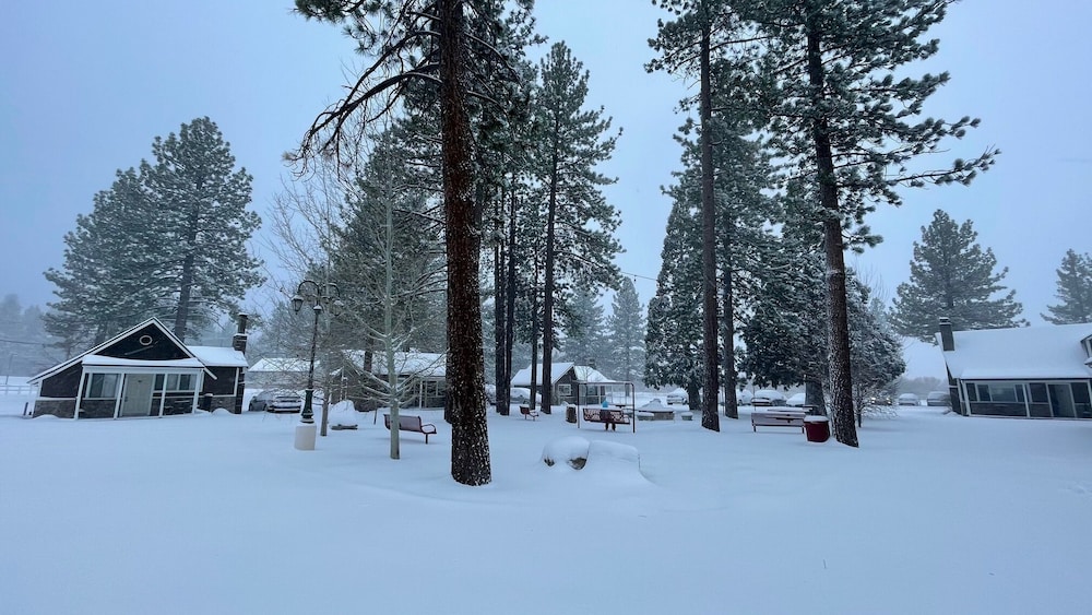 Bay Meadows Resort - photo 94