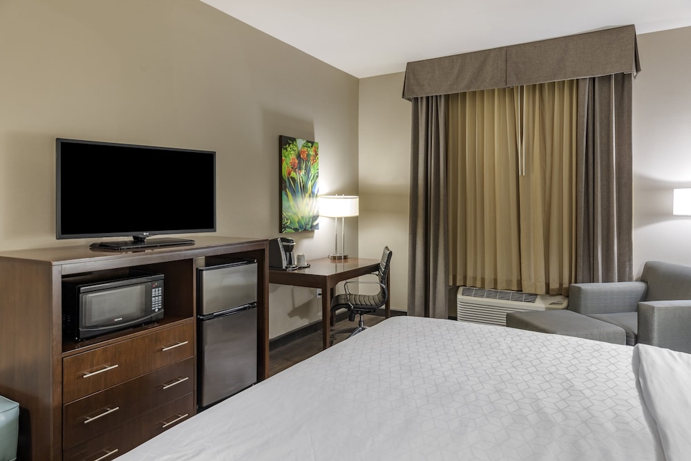 Holiday Inn Express & Suites Indio Coachella Valley by IHG - photo 15