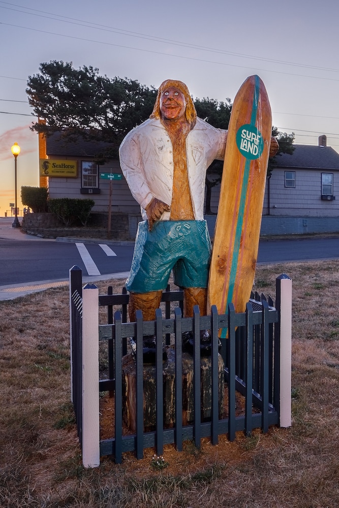 Surfland Hotel - photo 64