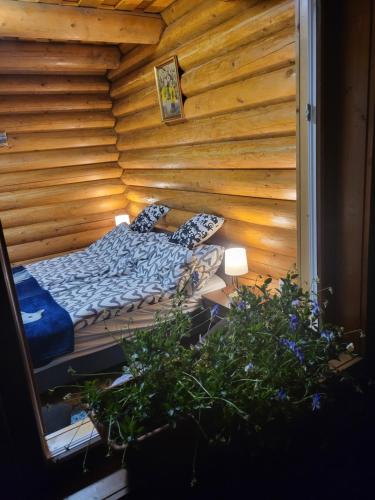 Woodhouse in Eger, Hungary