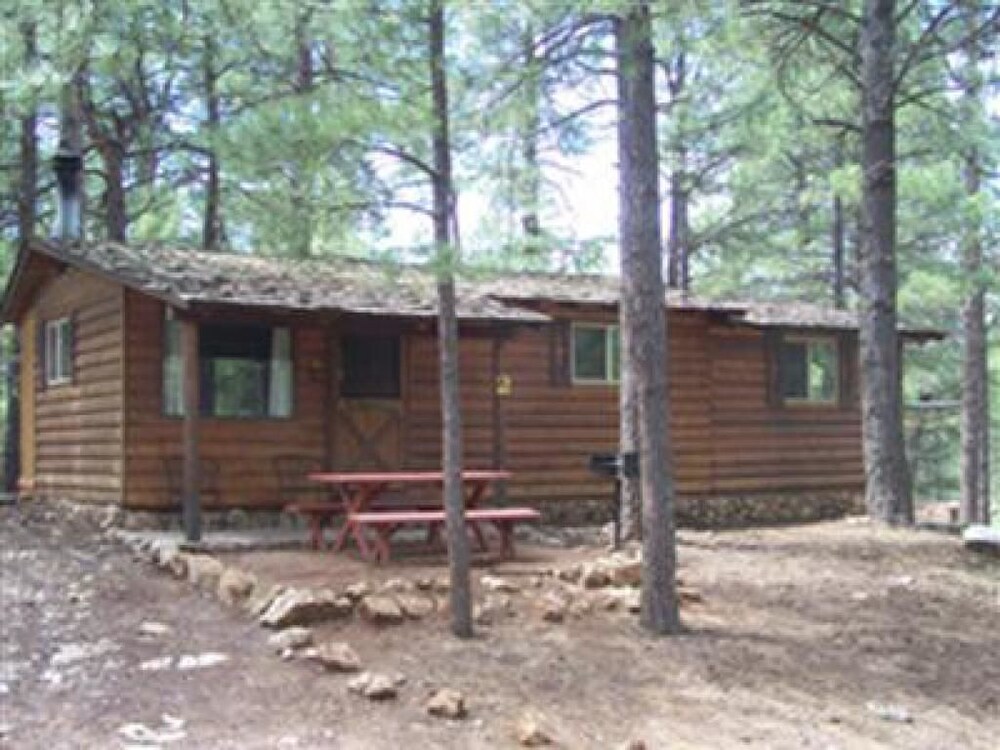 Arizona Mountain Inn and Cabins - photo 173