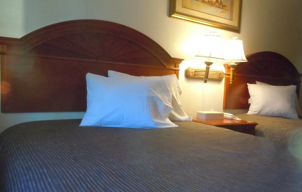 Bellevue High Country Motel - photo 6