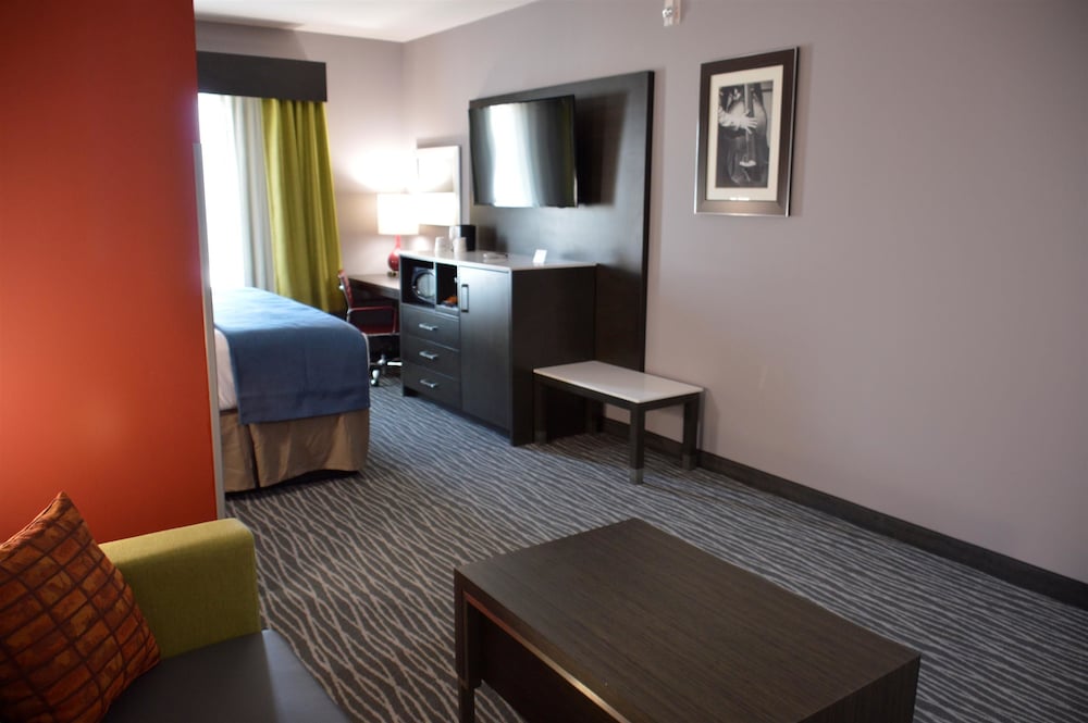 Del Mar Airport Inn & Suites - photo 9