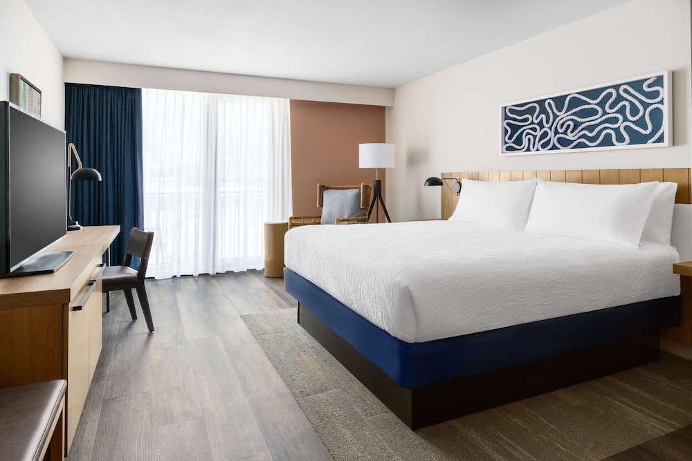 Hilton Garden Inn St. Pete Beach - photo 5