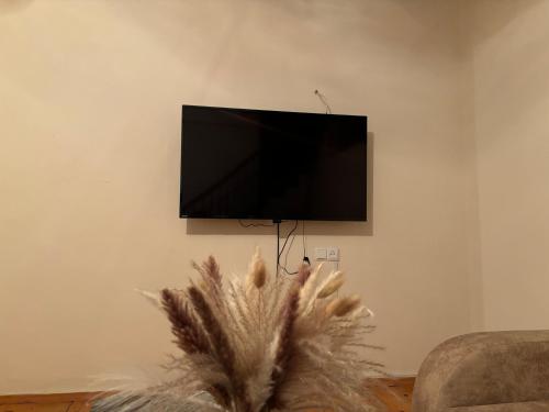 Mirzahouse