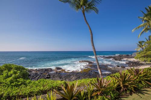 Hale Pohaku 1 - photo 22