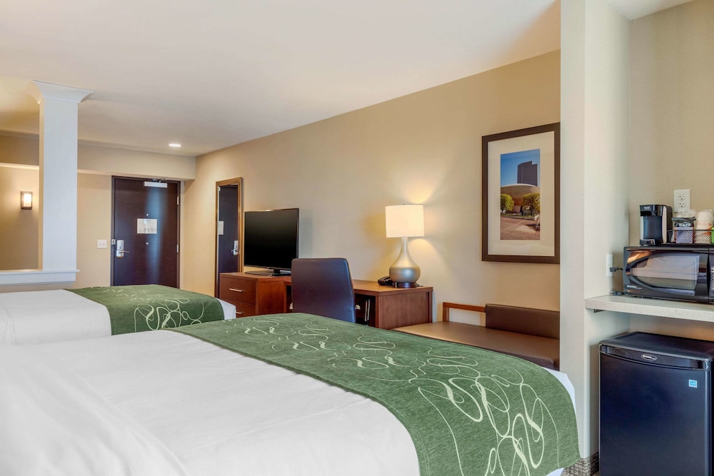 Comfort Inn & Suites Schenectady Scotia - photo 8