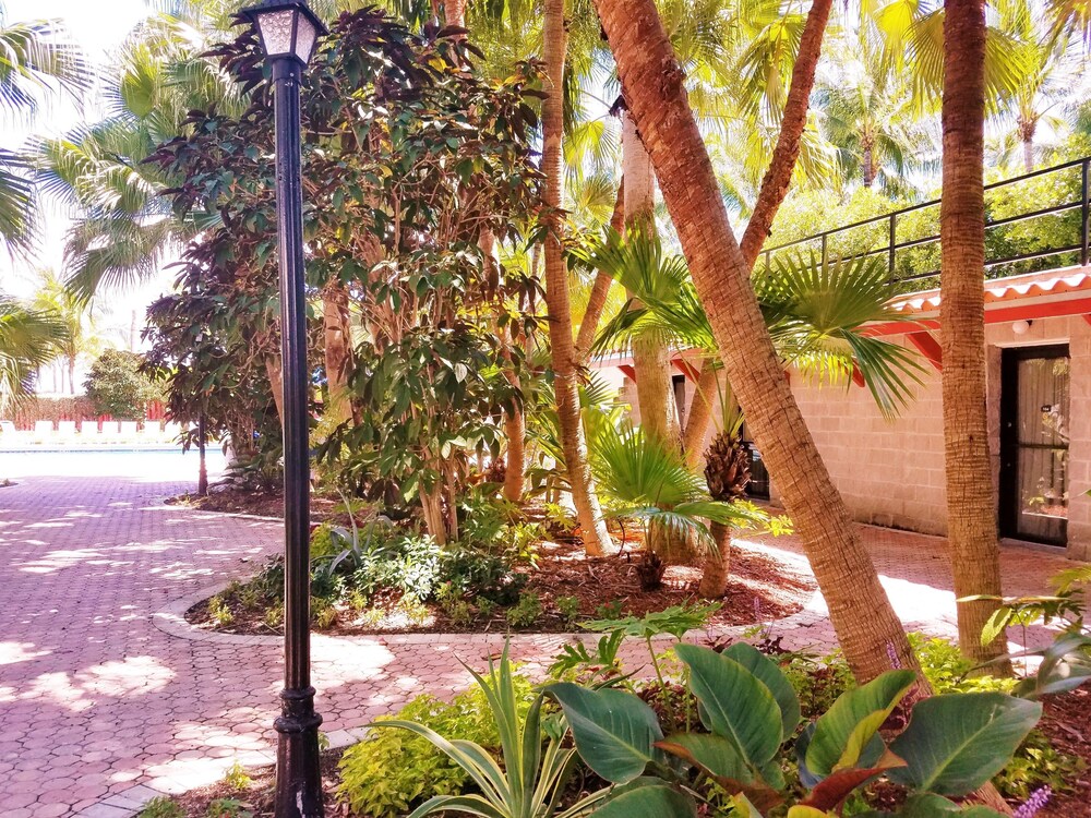 Seagull Hotel Miami Beach - photo 19