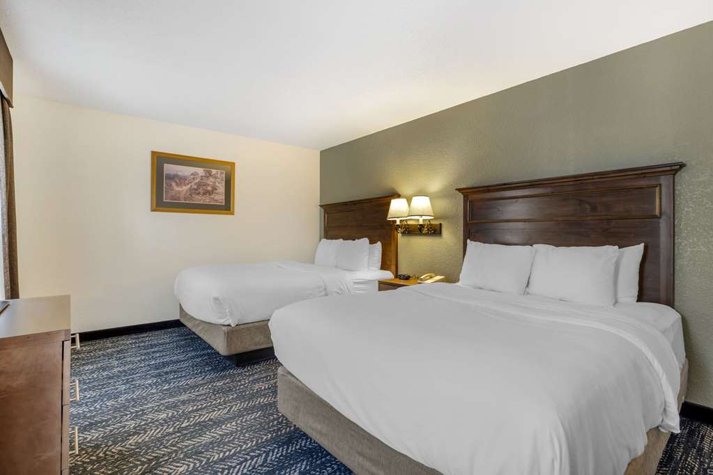 Comfort Inn & Suites Mt. Rushmore - photo 29