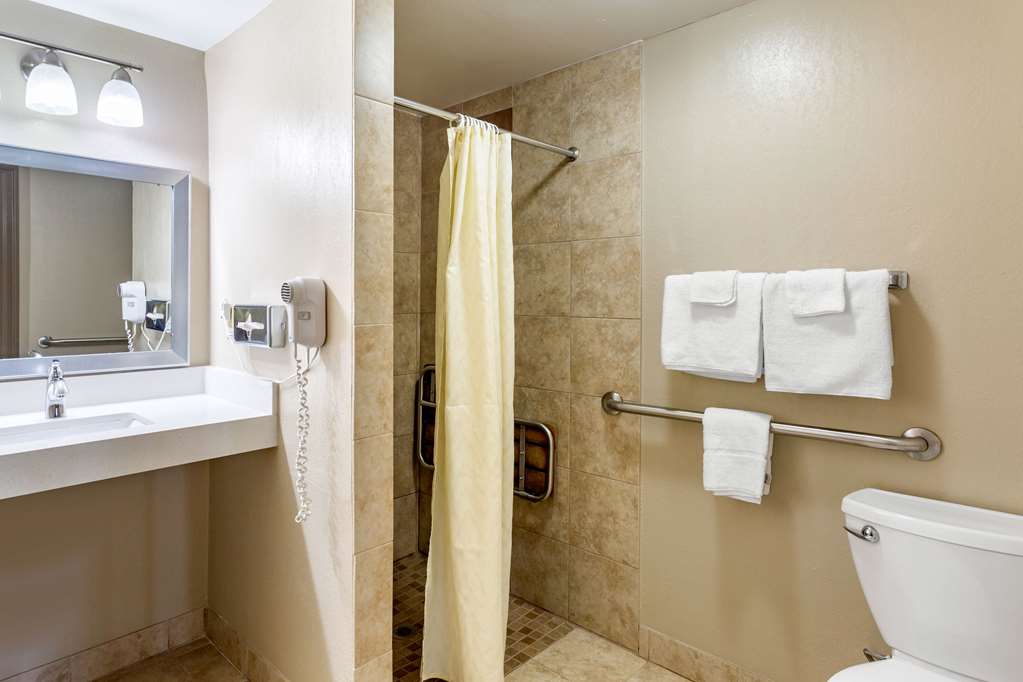 Econo Lodge Inn & Suites Dickson - photo 13