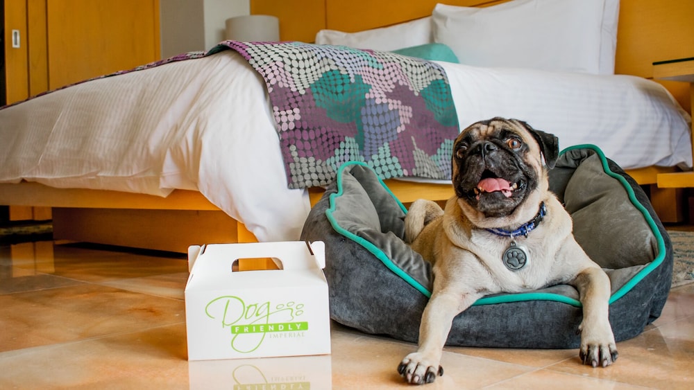 Pet-friendly