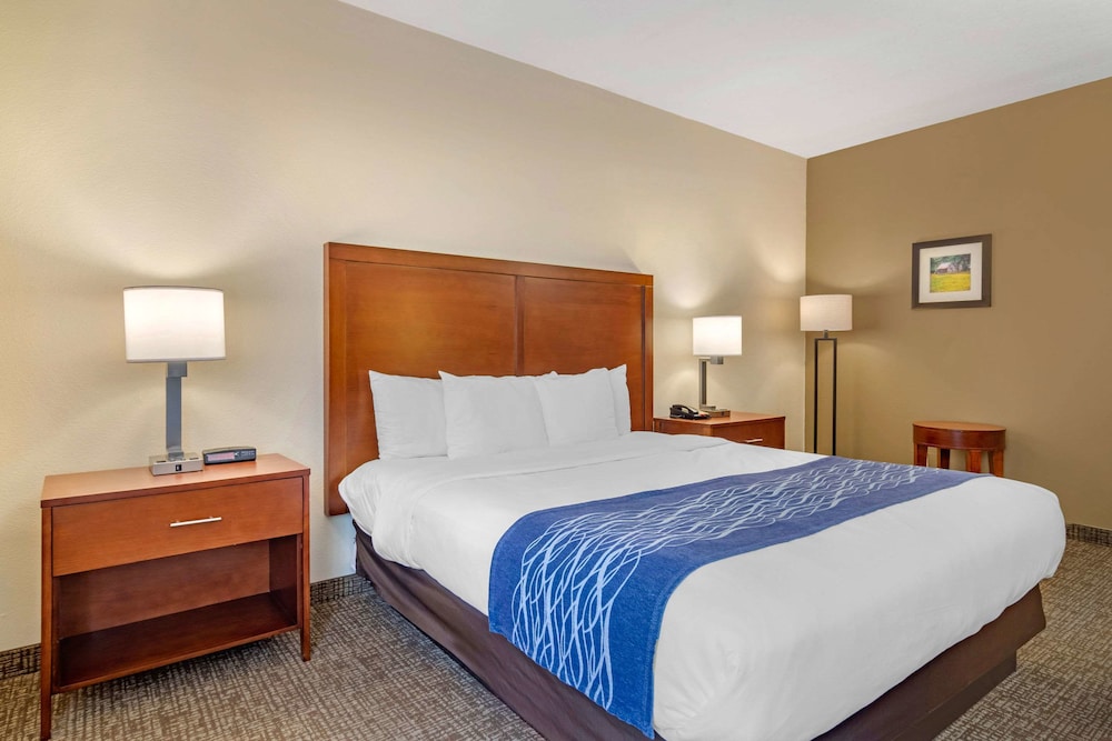 Comfort Inn Douglasville Atlanta West - photo 4