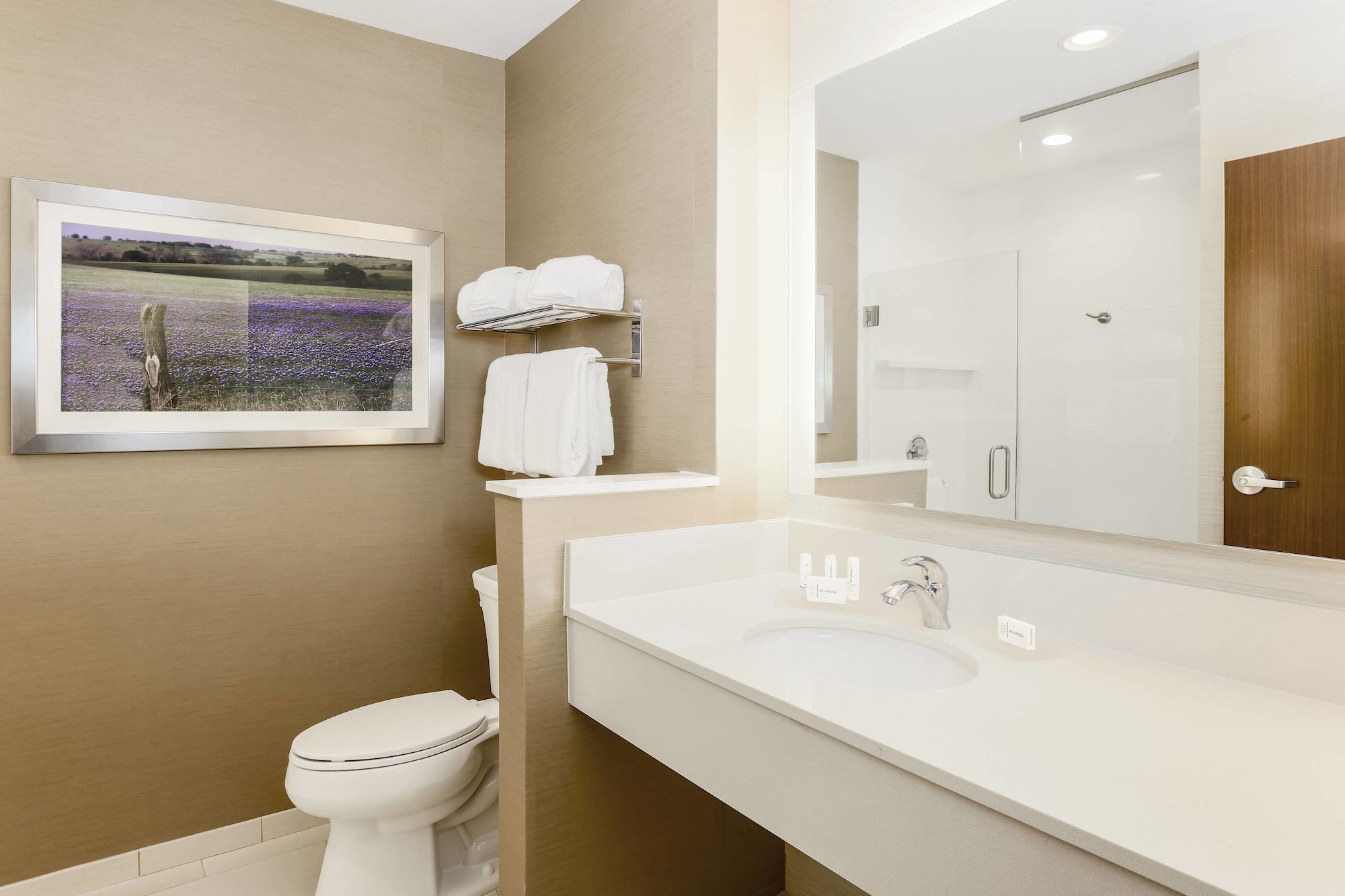 Fairfield Inn & Suites by Marriott Decatur at Decatur Conference Center - photo 15