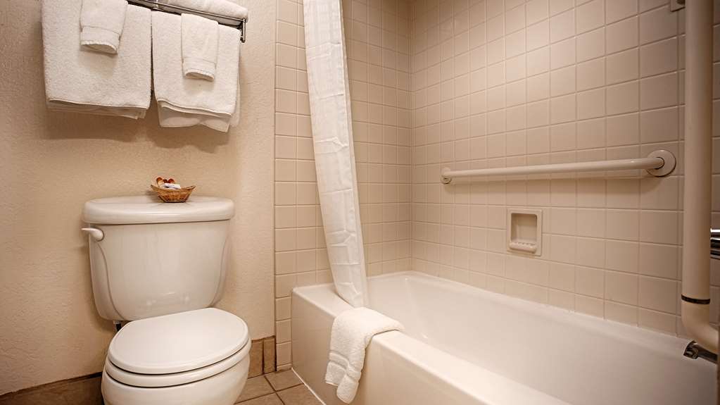 Best Western Sandman Hotel - photo 21
