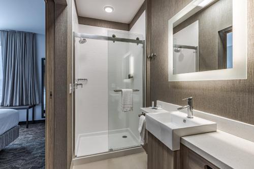 SpringHill Suites by Marriott Fort Wayne Southwest - photo 5