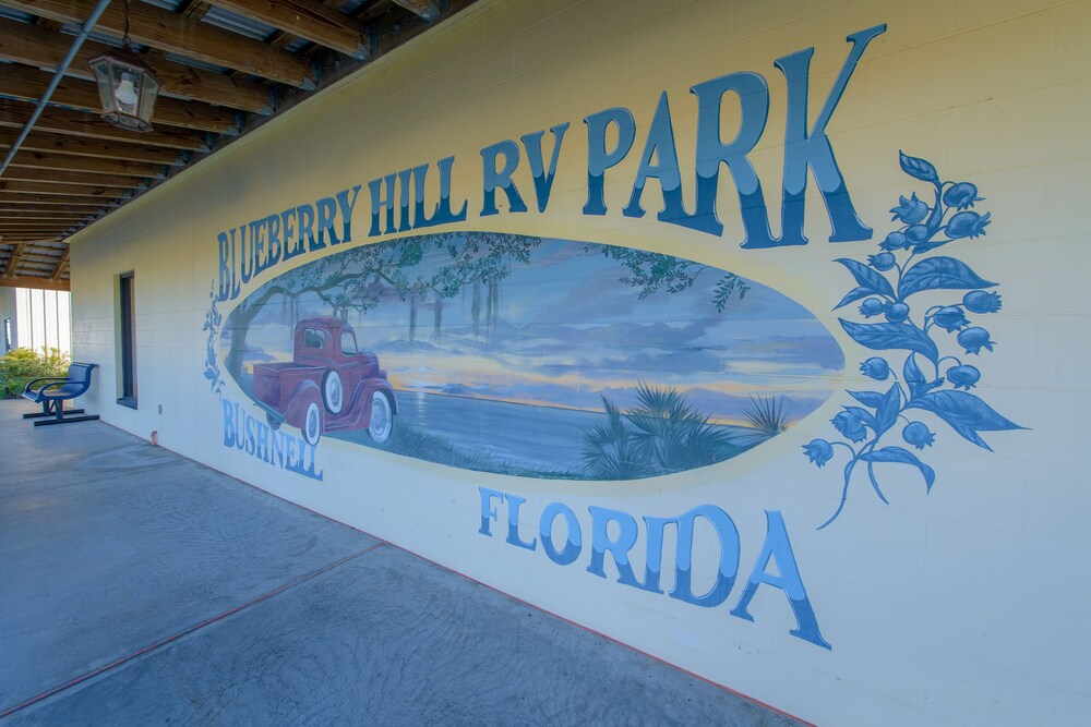 Blueberry Hill — Bushnell — photo 2