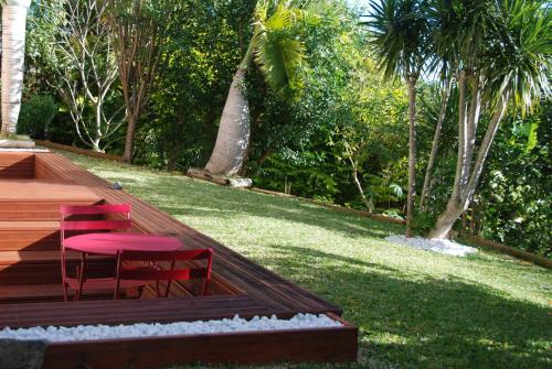 Le vol du Papangue in Saint-Pierre, Réunion