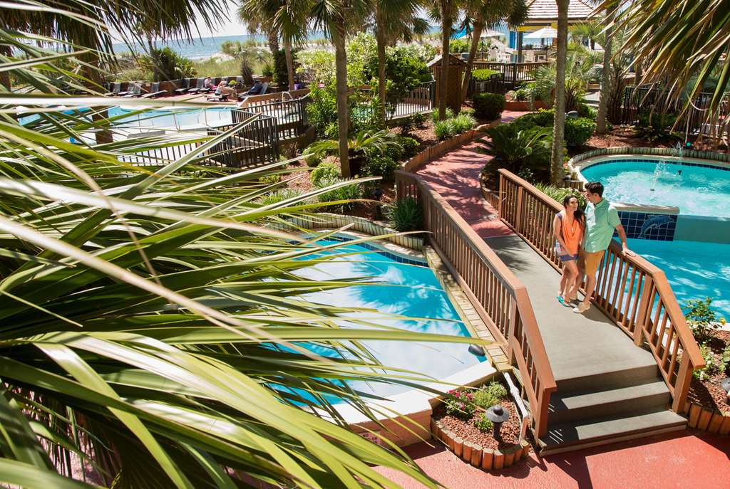 Beach Cove Resort - photo 15