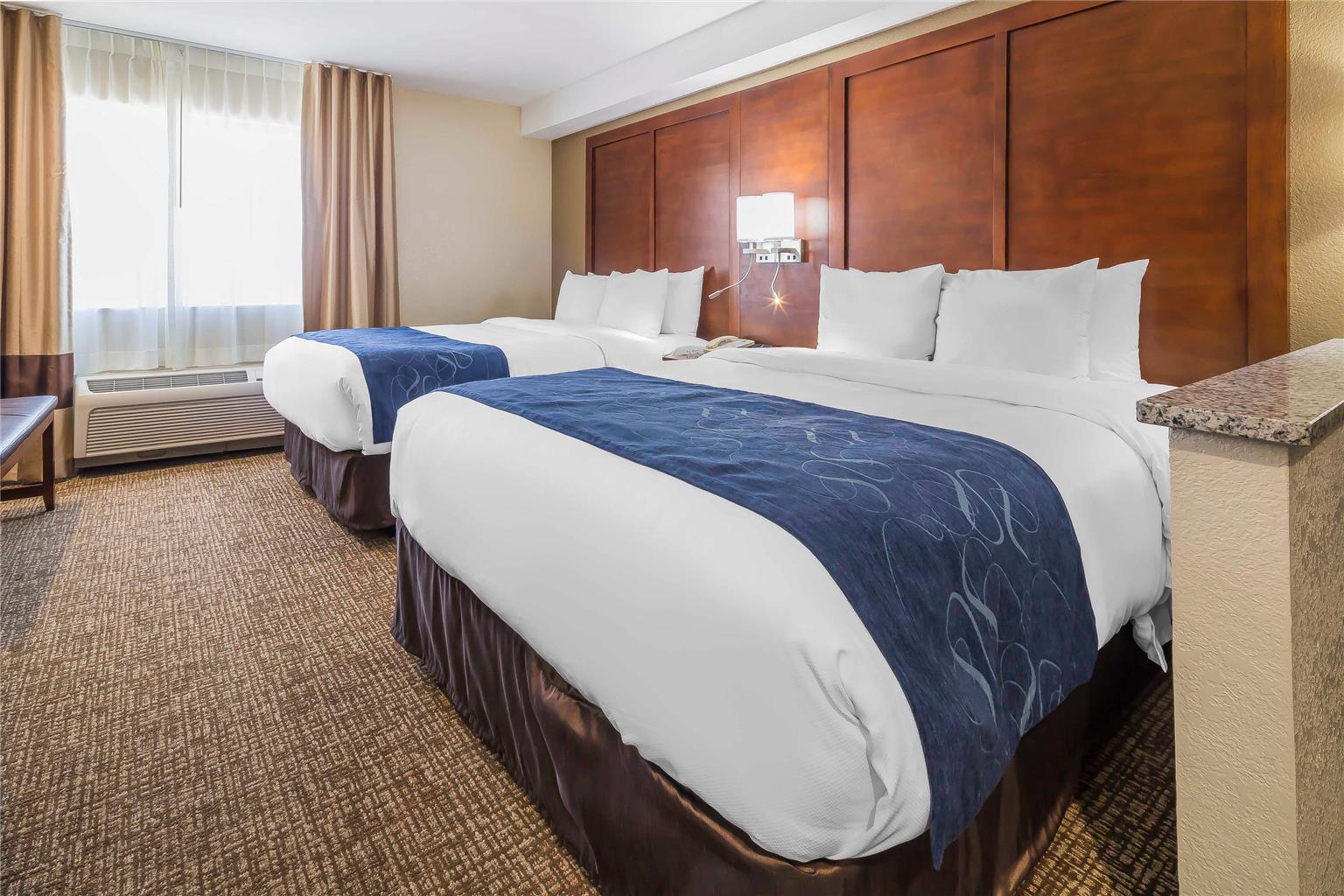 Comfort Suites El Paso Airport - photo 10