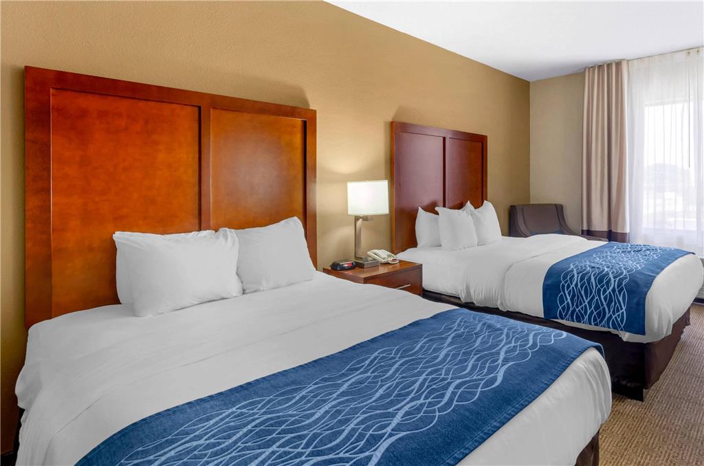 Comfort Inn & Suites Lynchburg Airport University Area - photo 14