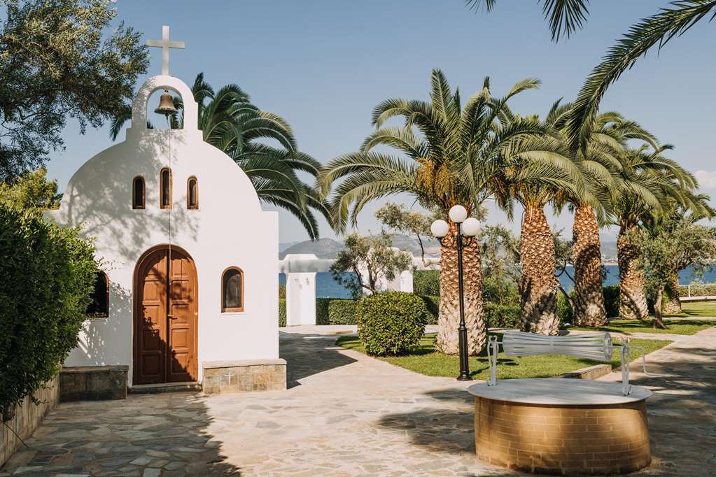 מראה חיצוני