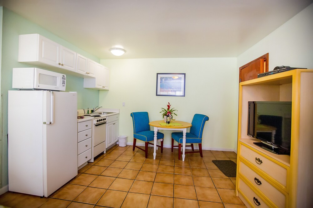 Leucadia Beach Inn - photo 33