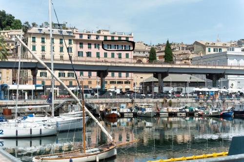 Port View in Genoa, Italy