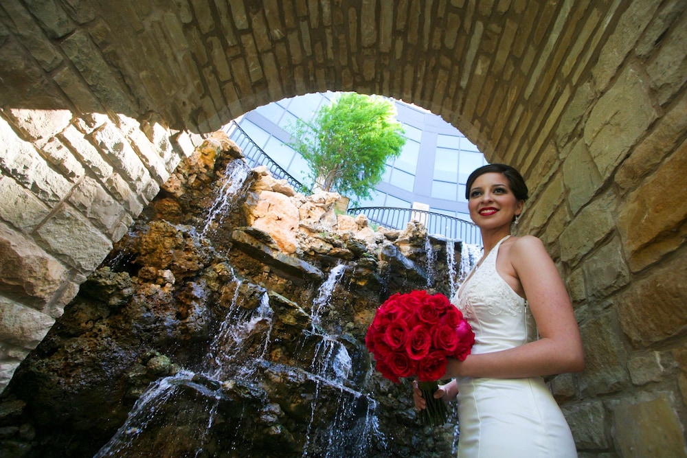 Embassy Suites San Antonio Riverwalk Downtown - photo 44