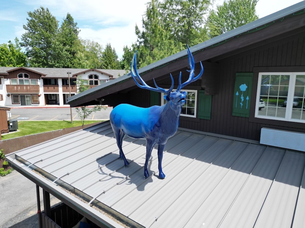 Blue Elk Inn - photo 77