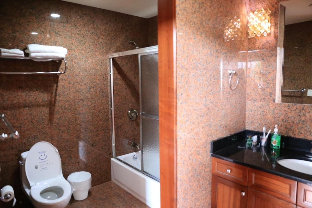 Phoenix Hotel - photo 21