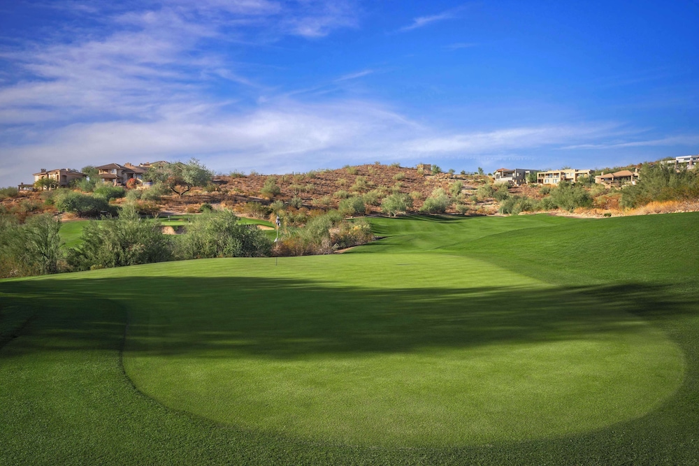 Hilton Phoenix Tapatio Cliffs Resort - photo 81