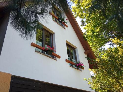 Pele vendégház - last minute hotel in Unknown City