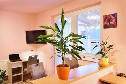 Nika Beds in Pardubice, Czech Republic